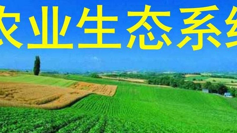 家庭农场土壤有机质提升，这些注意事项你了解吗？**