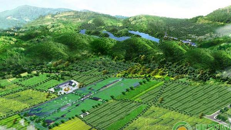 水果种植品牌价格报价单