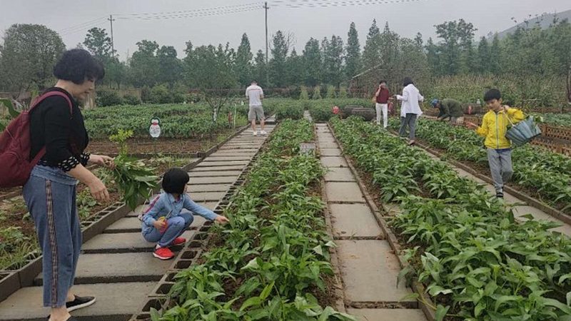 农资批发许可证办理周期