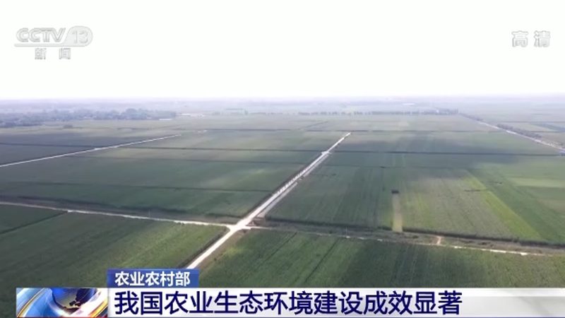 水果盆栽种植入门：新手必知的五大要点**