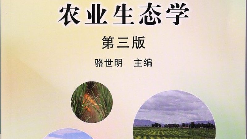 粮食种植定制方案：标准与实施要点