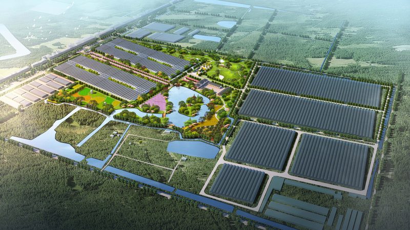 玻璃连栋温室：揭秘其每平米造价背后的秘密