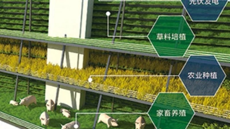 上海果蔬配送公司加盟，你需要了解的关键要素**