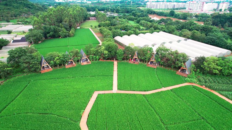 果蔬脆片深加工设备：尺寸参数解析与选型要点**