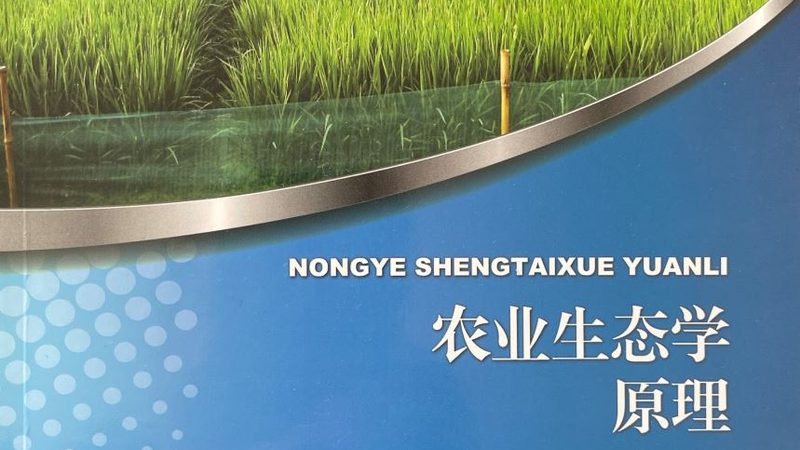 农产品包装设计不只是“画个袋子