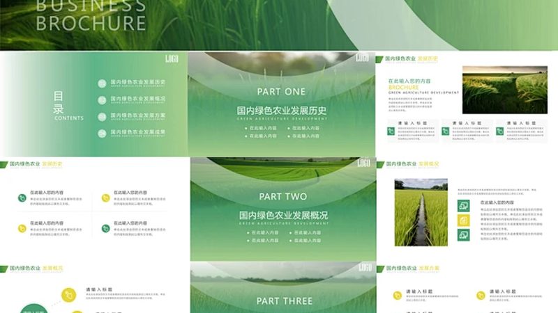 小规模农业项目代理的门槛解析**